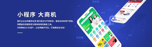 者差异很大,从个人接私单,夫妻小工作室到正规的本地信息咨询服务公司