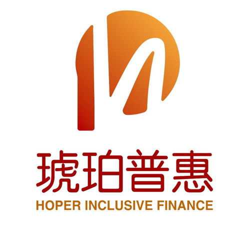 深圳琥珀普惠信息咨询服务 专业引领，信息赋能